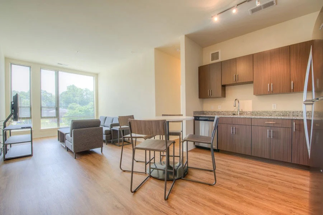 Open layout living room x kitchen (undecorated) - Terrapin Row Apartments