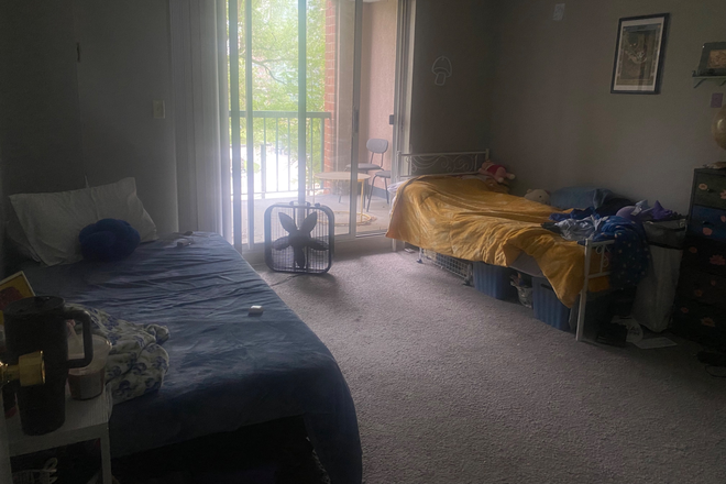 Room - Female roommate wanted at Harbor Point