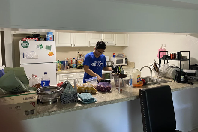 Kitchen - Urban Place Apartments, within walking distance of Tampa campus