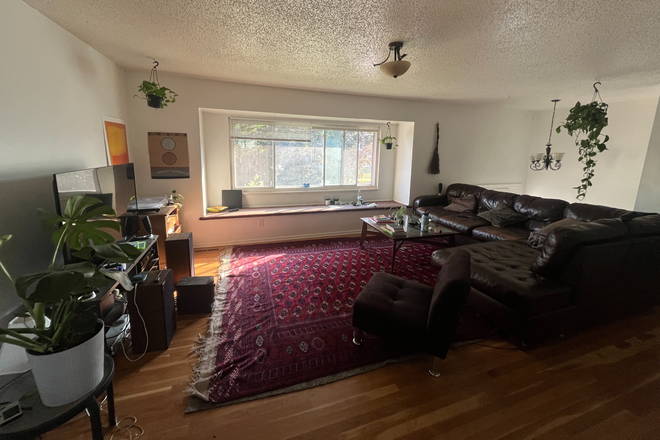 Living Room - Single Room in large and beautiful house, close to campus.