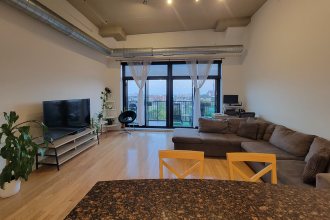 Living Room - 1-bedroom with Parking at University Village Lofts