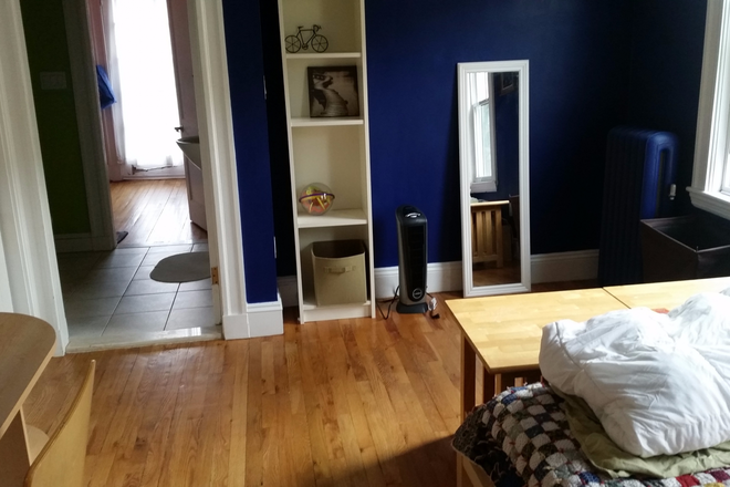 Your bedroom, view into attached bath - Large bedroom, attached bathroom, sunny apartment, lovely neighborhood, walking distance to Harvard