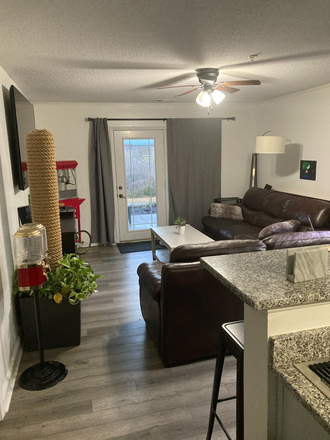 Living Room - Harts Cove, Private suites with bathroom, Lake side living, swim pier, boat dock, Private shuttle Condo