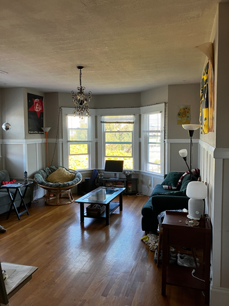 Living room - Bright Spacious Apartment One Block From Campus