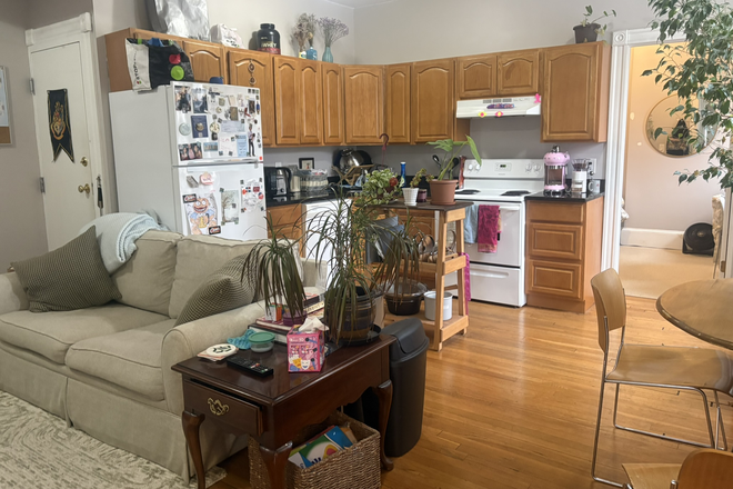 OPEN CONCEPT Living Room/Kitchen - 1066 COMMONWEALTH AVE - HUGE BEDROOMS, MOMENTS FROM BABCOCK ST