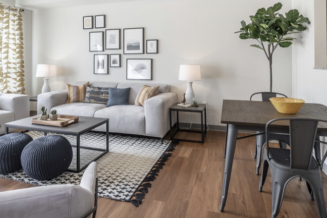 living room - Patterson Social 1 Bed 1 Bath, 2 Blocks from campus Apartments