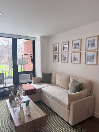 Living room - Fully furnished 1-bedroom apartment next to HBS (Soldiers Field Park). Utilities included!
