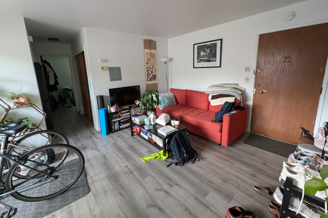 Living Room - Full Apartment Sublease - 2b/1ba near North Berkeley BART, Monterey Market