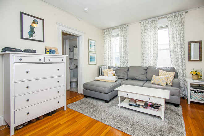 living room - Charming 1-Bedroom Apartment in Quiet Allston Location! - no fee