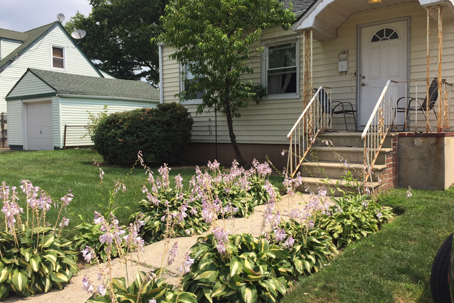 Front View - Cozy, Convenient House For Rent