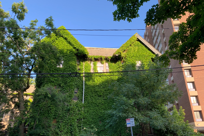 10-14 Remington St. - Spacious, Furnished - Harvard Sq. Rooms