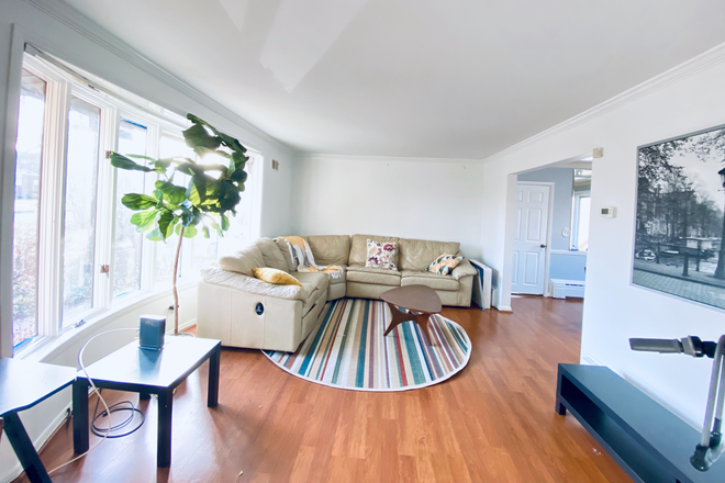large living room #1 on upper level - Renovated house, 3 large rooms $990-$1150+ each room