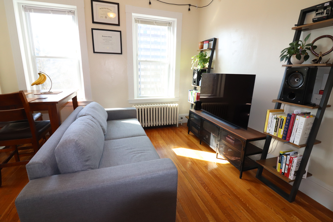 living room - Sunny Coolidge Corner 1 bed + den with parking for rent - 9/1, NO FEE! Apartments