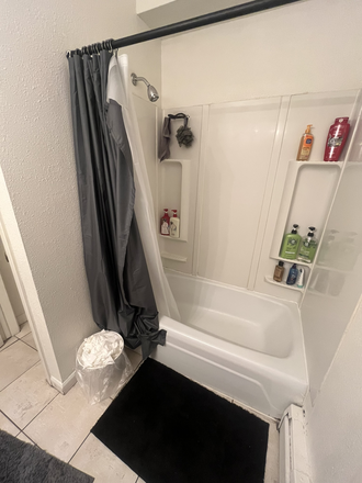 Main Bathroom (shower) - One of Two Bedroom Summer Apartment Available