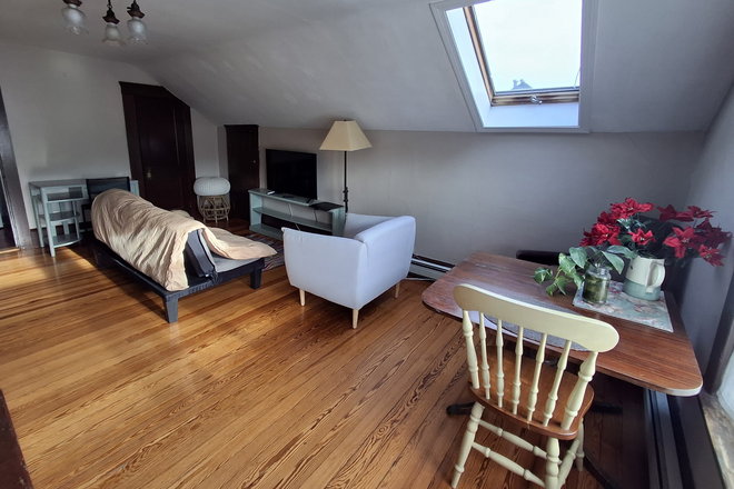 Living space - Charming sunny 3rd floor furnished studio apartment in Wayland Sq.