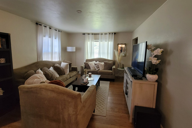 Living room - Walking distance from campus, big windows, across from park, quiet neighborhood - 3 bedrm/2.5 bath