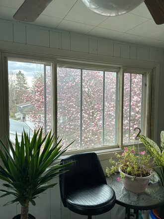 Sunroom - great place to study or relax. - Victorian Home  -  Rooms for Rent