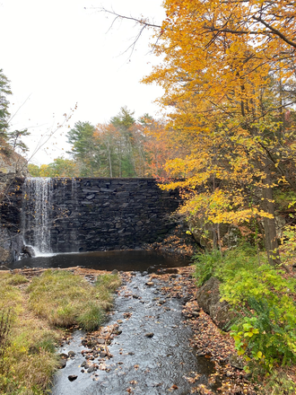 Puffers Fall - Comfy apartment, close to campus, walking distance to Puffors ponds, waterfall, and Mill River