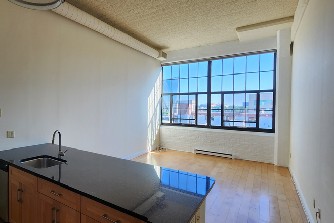 Sun-filled living space - Locust Point Loft