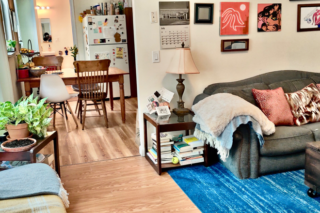 Living room - 10 Minute Walk to Harvard, 15-20 Minute to MIT Beautiful 4 Bed 2 Bath Aapartment