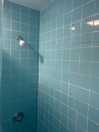 Shower - Deluxe Private Furnished bedrooms minutes to Harvard & MIT! Apartments