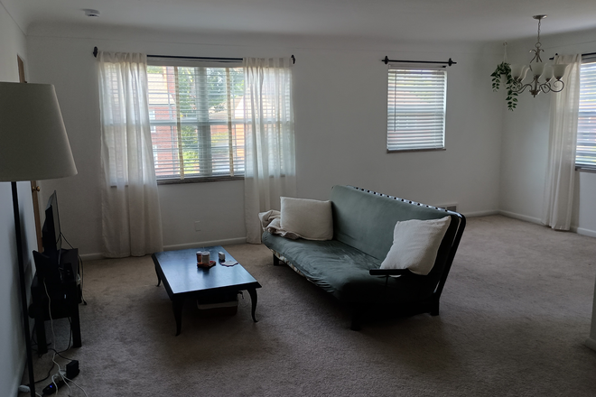 Living room/dining room area. Note the south-facing windows - Affordable 2bd/1bath Apt close to Shaw Park and WashU