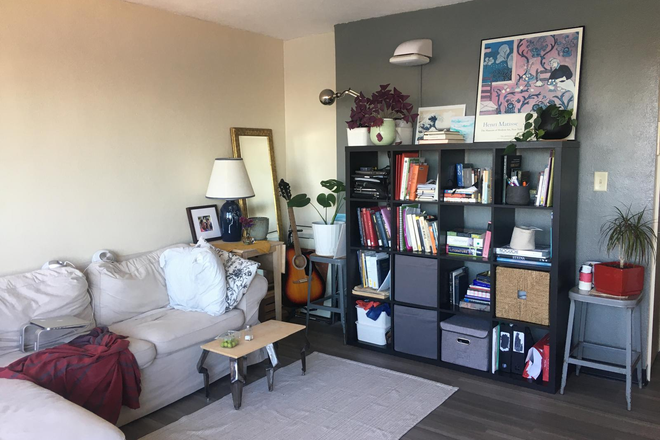 Living room - South-facing 1 bedroom apartment with a view of the Boston skyline over the Charles River