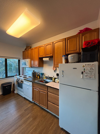 Kitchen - Apartment Close to Campus