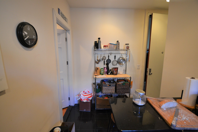 Kitchen - 2 bed 1 bath on Peterborough St - Modern Unit with Brick Wall! Apartments