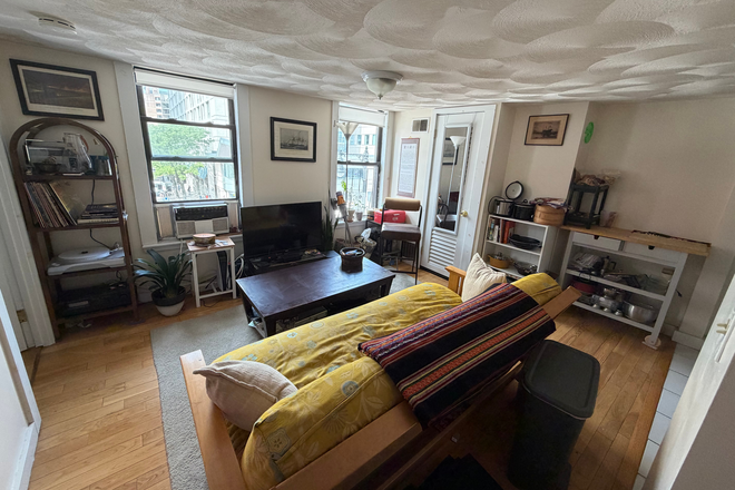 Living Room | Natural lighting - Looking for a roommate in my 2 bed 1 bath Apt in Beacon Hill
