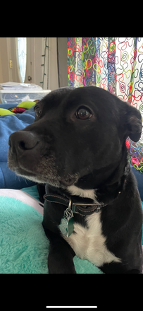 Spyro - Summer Sublet-Private Room Townhome