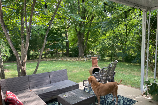 Backyard - Room for rent in a beautiful home, 5 minutes from UT campus and Old Town.