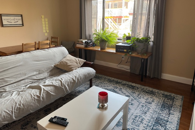 common room - 2 spacious bedrooms available in pristine property, close to pub transport, Chesnut Hill res Apartments