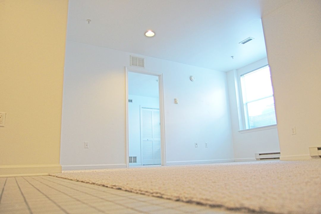 Living Room - The Grove Apartments