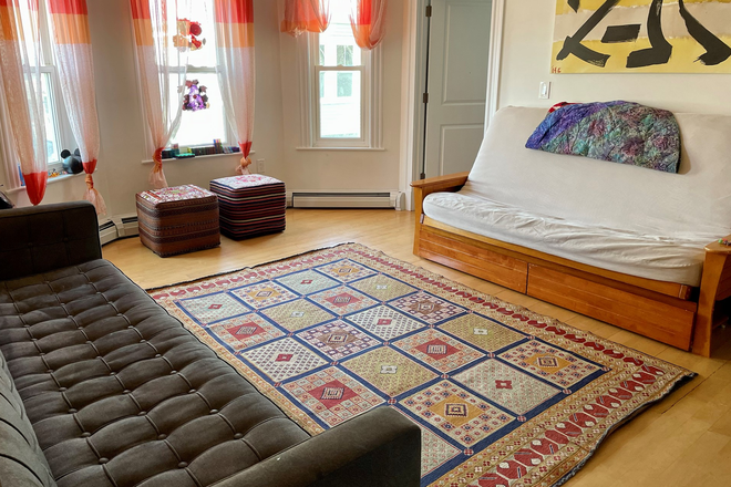 Living room - Beautiful, sunny, furnished condo in Somerville / near Cambridge