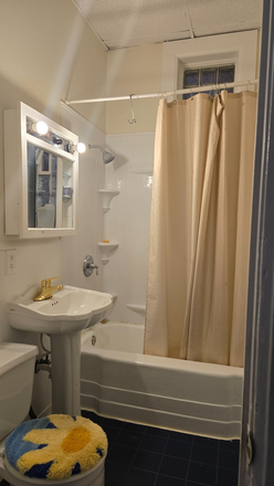 Bathroom Upper Level - Private Room for Rent in East Village Apartment (Women Only)