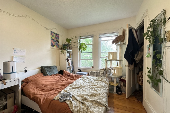 bedroom1 - Sun-Drenched 3 Bed / 1 Bath near campus available 9/1/26!! Apartments