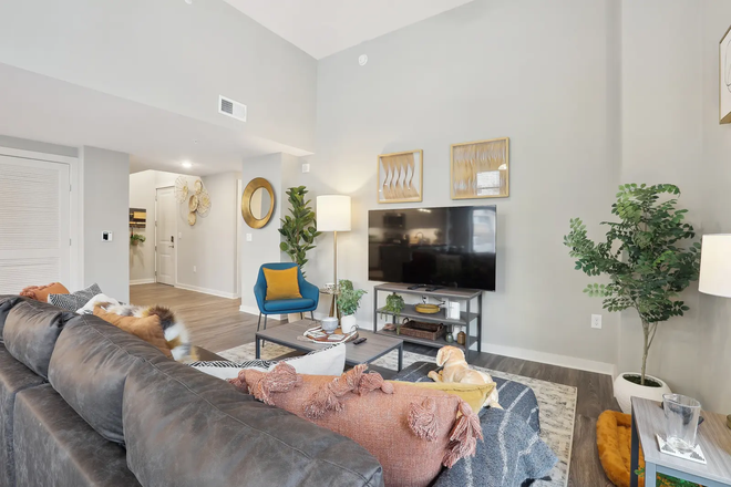 Living room - The Standard at College Park, One bedroom with Bathroom, Walking distance to UMD campus Apartments