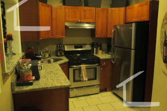 2 - 4 Bed, 2 bath, Egmont St, Just Listed, Live in the Heart of BU!9/1 Apartments