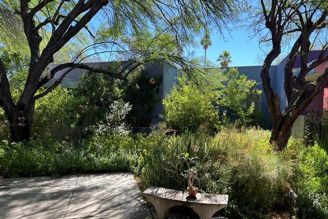Central Garden next to Guesthouse - Nicely-Furnished 2 bed/2 bath Contemporary Guesthouse 1 Mile from U of A - Comfortable & Safe