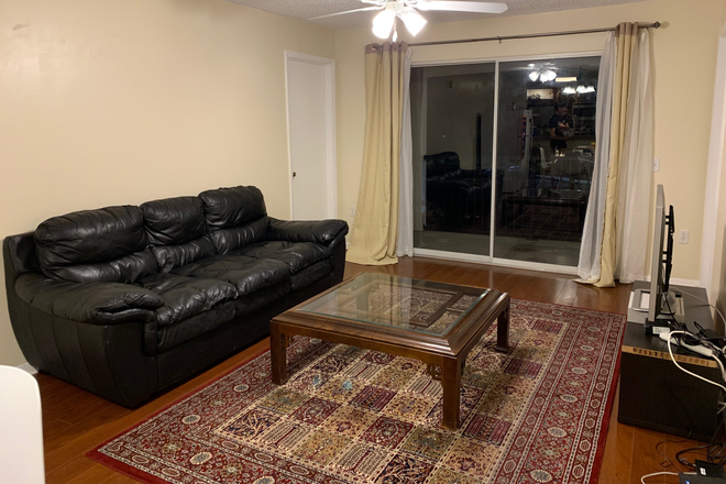 Living Room - University Terrace 4b/4b Upgraded Awesome Location Condo