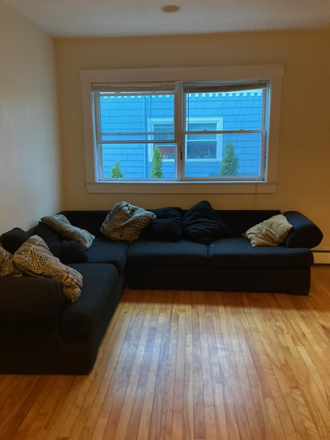 Living Room - NO FEES, COZY 3BR UNIT CLOSE TO HARVARD, MIT, MGH, HEAT INCLUDED Condo