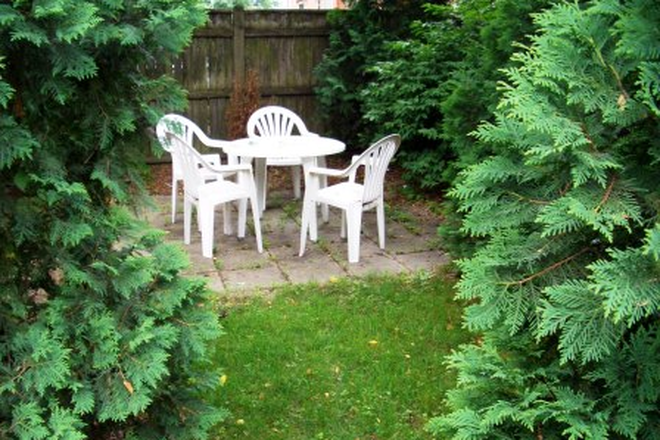 garden - 179 Prospect Street Apartments