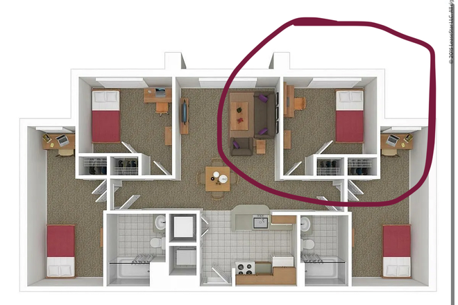 C Unit - Spring/Summer 2026 - South Campus Commons 4 unit! One room available for lease transfer!