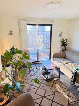 living room, we have projector aswell - Summer Sublet, 1/2 bedroom, renovated + deck