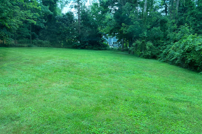 Backyard - 2026 Spring term sublet 1 room, furnished, hassel free moving in $0 deposit/$0 agent fee House