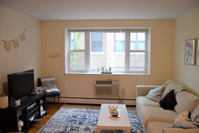 2 - AVAIL NOW-Gorgeous Brookline 2 bed, H/HW inc. Student OK! NO FEE! Apartments