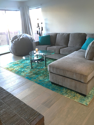 Living Room - Spacious 2BR 2 FULL Bath minutes from campus