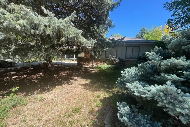 yard - Private Room with En Suite Bath in Boulder.  Perfect for students! House