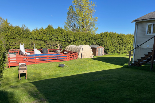 back yard - East Terrace, quiet street within walking distance to campus Duplex